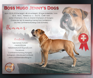 BOSS HUGO JENNY'S DOGS FCI EUROPEAN WINNER