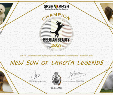 NEW SUN OF LAKOTA LEGENDS