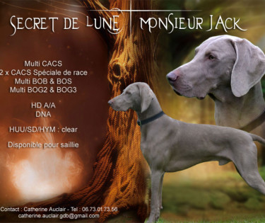 SECRET DE LUNE MONSIEUR JACK